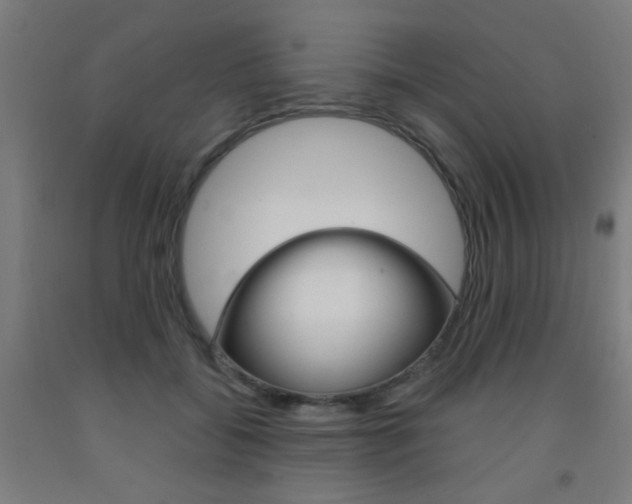 X0000093140556200709261101