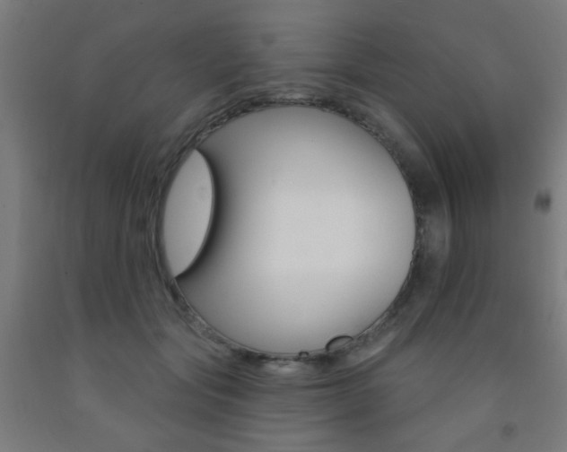 X0000093140557200709261101