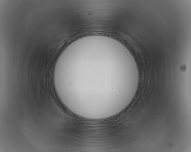 X0000093140560200709261101