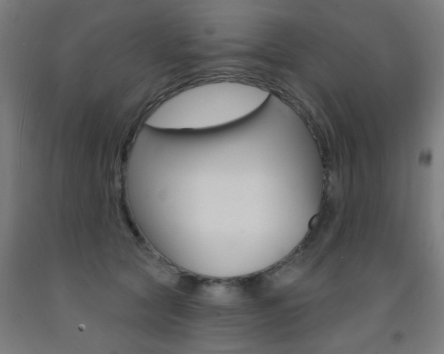 X0000093140561200709261101