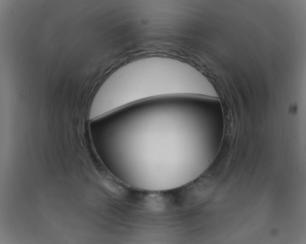 X0000093140562200709261101