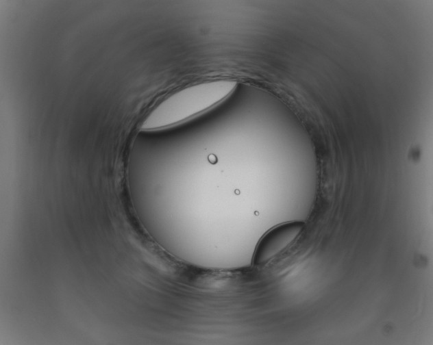 X0000093140563200709261101