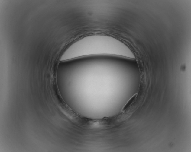 X0000093140564200709261101