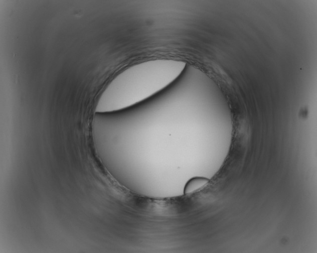 X0000093140565200709261101