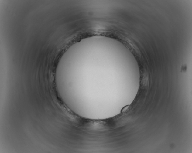 X0000093140569200709261101