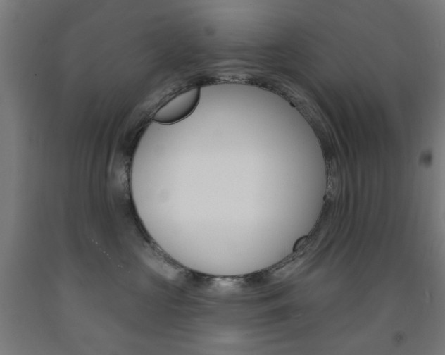 X0000093140573200709261101