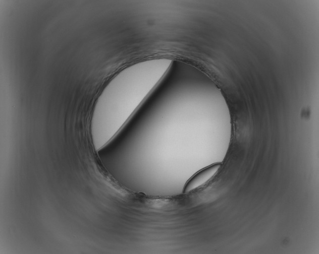 X0000093140575200709261101