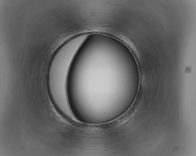 X0000093140577200709261100