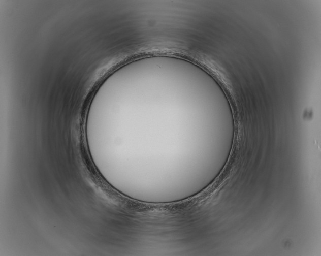 X0000093140578200709261100