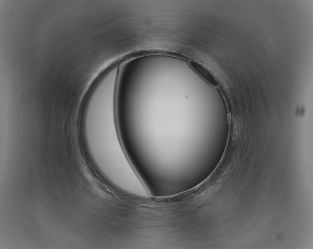 X0000093140580200709261100