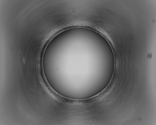 X0000093140581200709261100