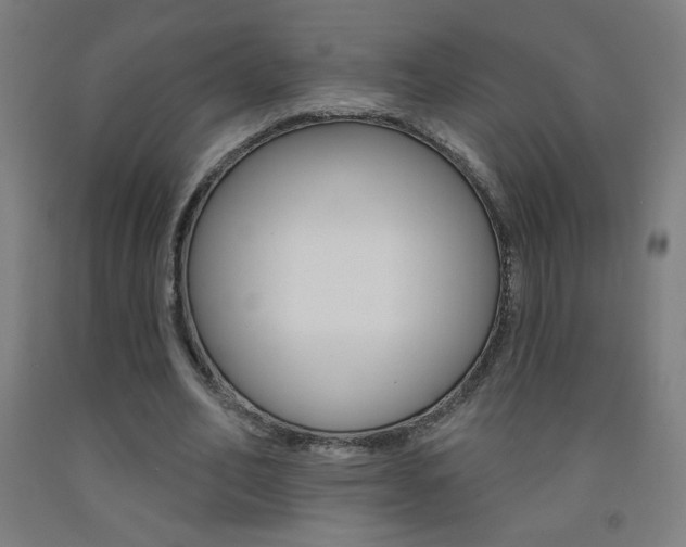 X0000093140582200709261100