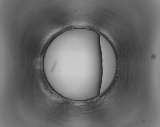 X0000093140583200709261100