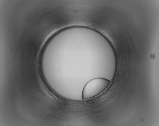 X0000093140584200709261100