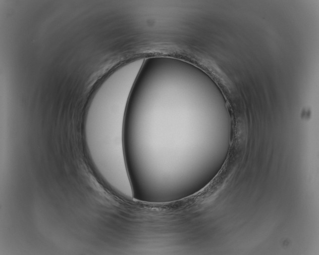 X0000093140585200709261100
