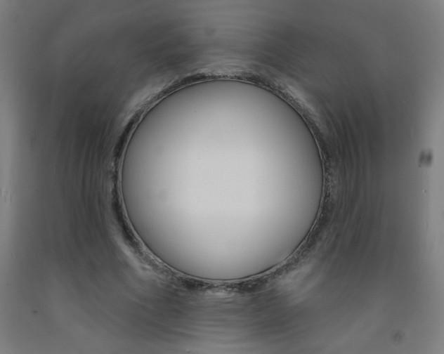 X0000093140586200709261100