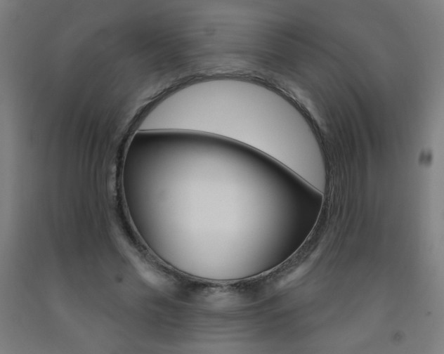 X0000093140589200709261100