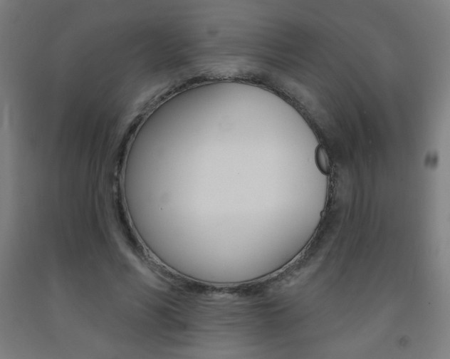 X0000093140590200709261100
