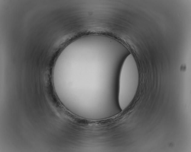 X0000093140591200709261100