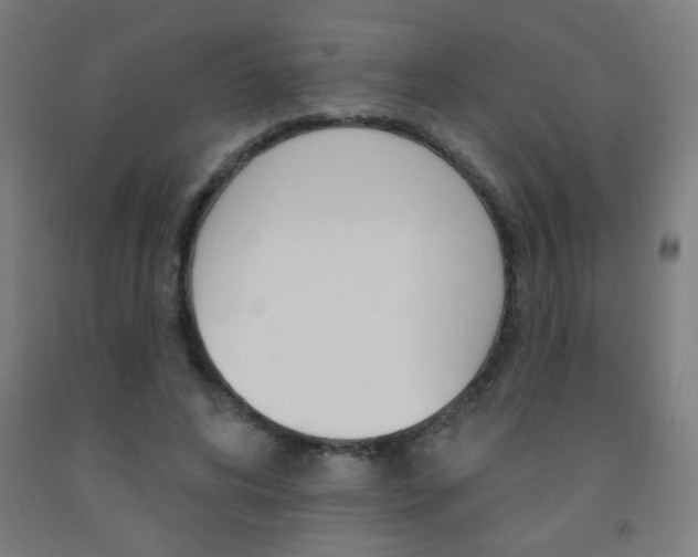 X0000093140592200709261100