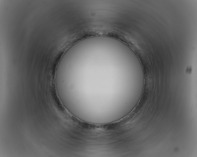 X0000093140594200709261100
