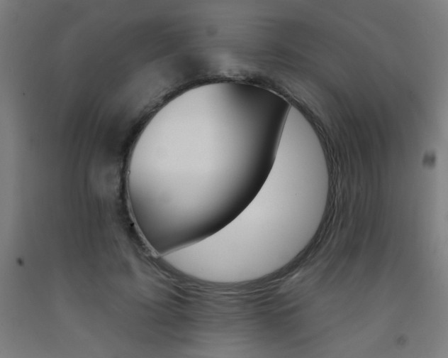 X0000093140595200709261100