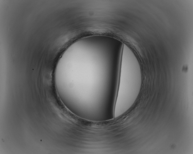 X0000093140596200709261100