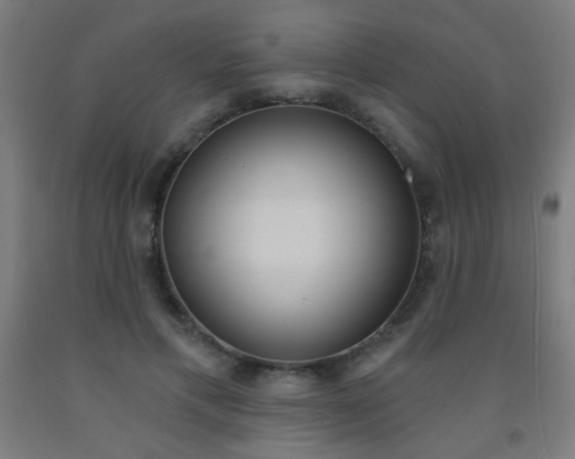 X0000093140597200709261100