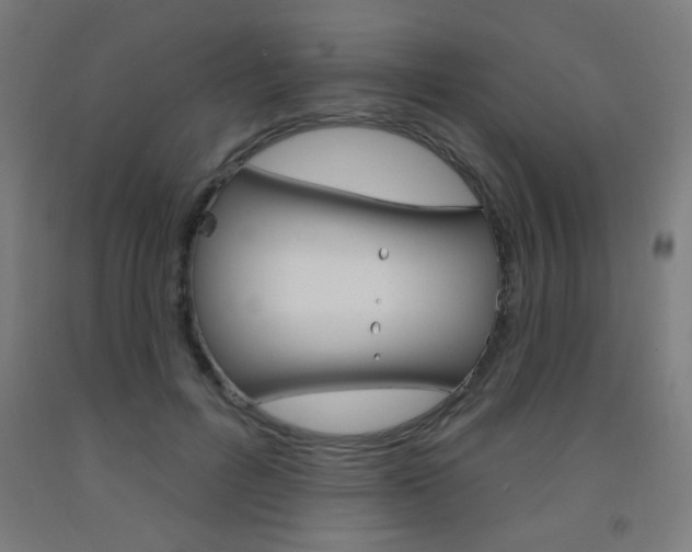 X0000093140600200709261100