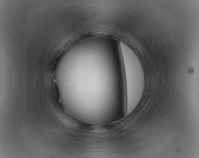 X0000093140601200709261100