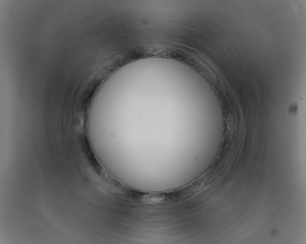 X0000093140602200709261100
