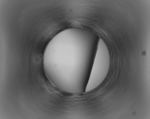 X0000093140603200709261100