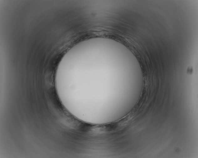 X0000093140606200709261100