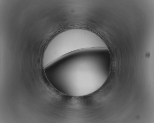 X0000093140608200709261100