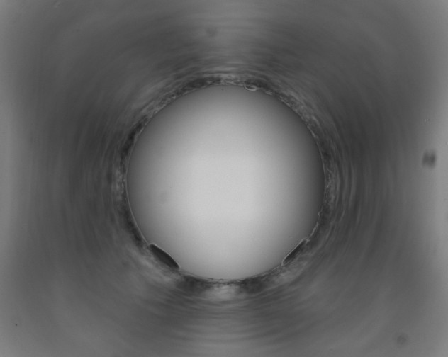 X0000093140609200709261100