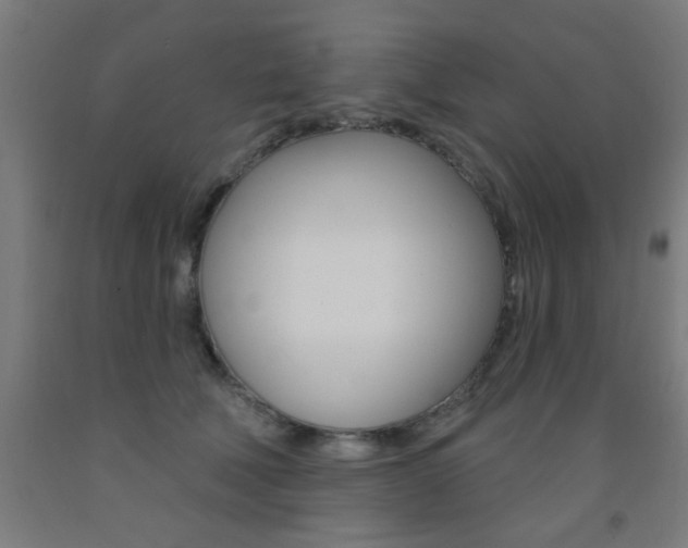 X0000093140610200709261100