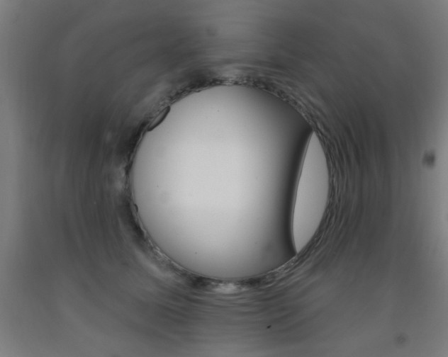 X0000093140611200709261100