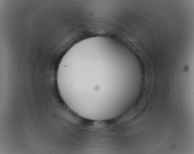 X0000093140612200709261100