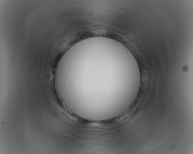 X0000093140614200709261100