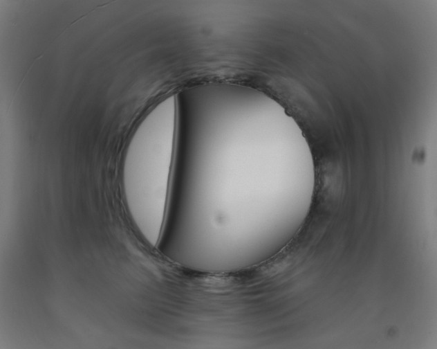X0000093140615200709261100