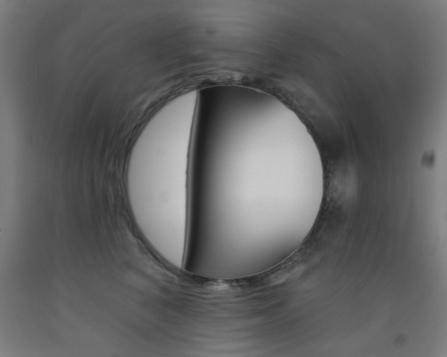 X0000093140616200709261100