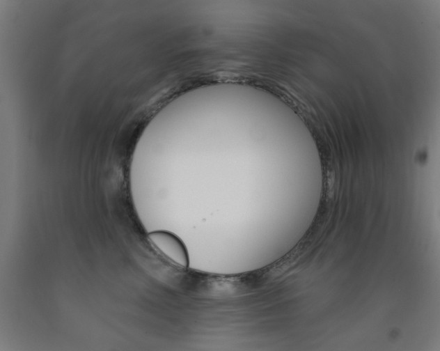 X0000093140618200709261059