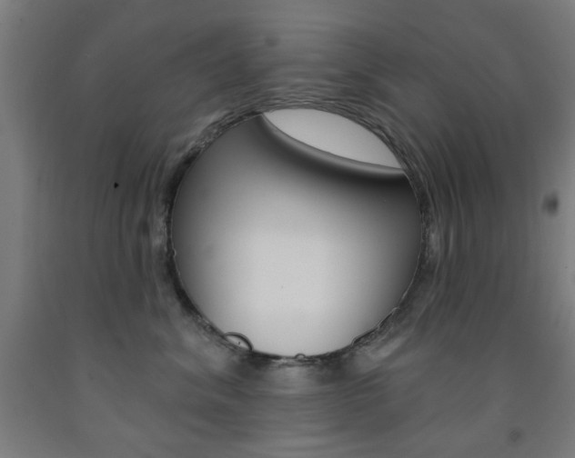 X0000093140620200709261059