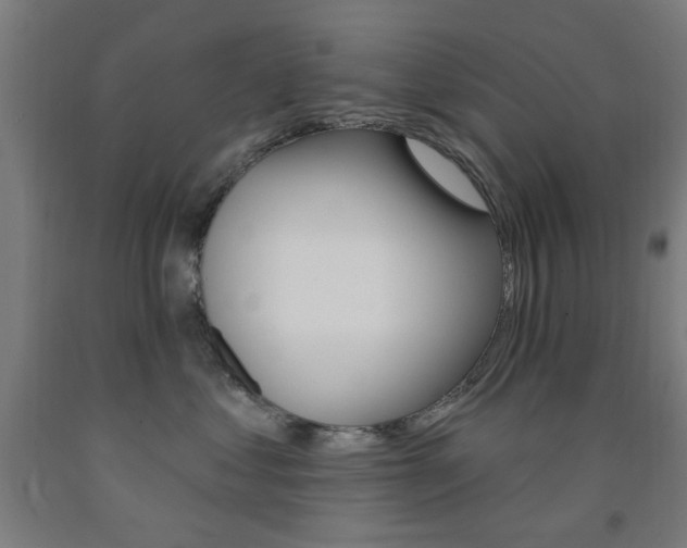 X0000093140621200709261059