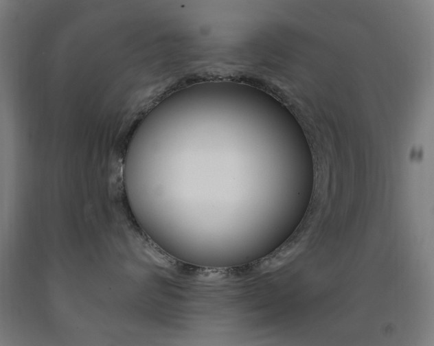 X0000093140624200709261059