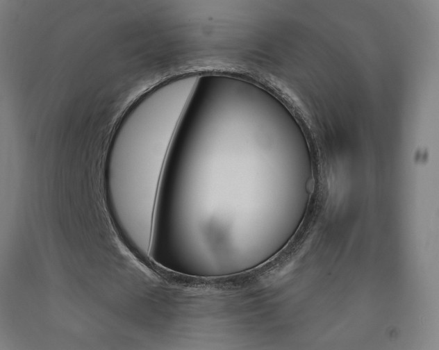 X0000093140625200709261059