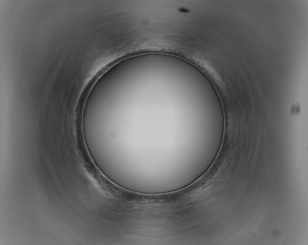 X0000093140626200709261059