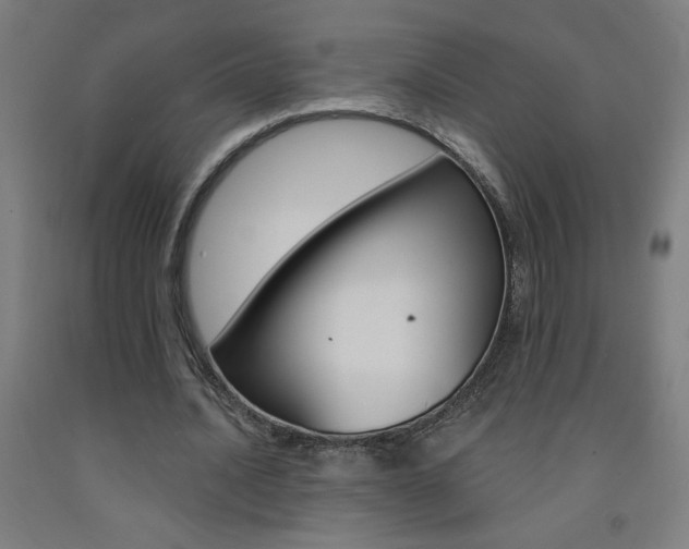 X0000093140628200709261059