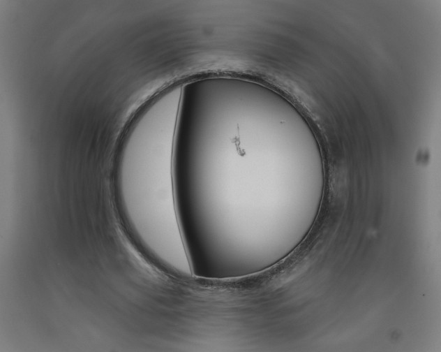 X0000093140629200709261059
