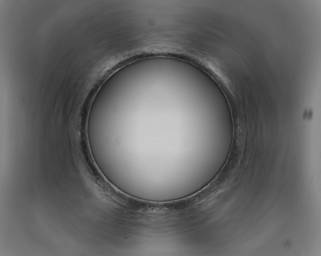 X0000093140631200709261059